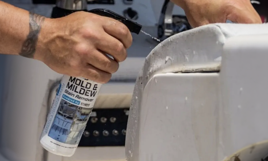 Mold & Mildew Stain Remover