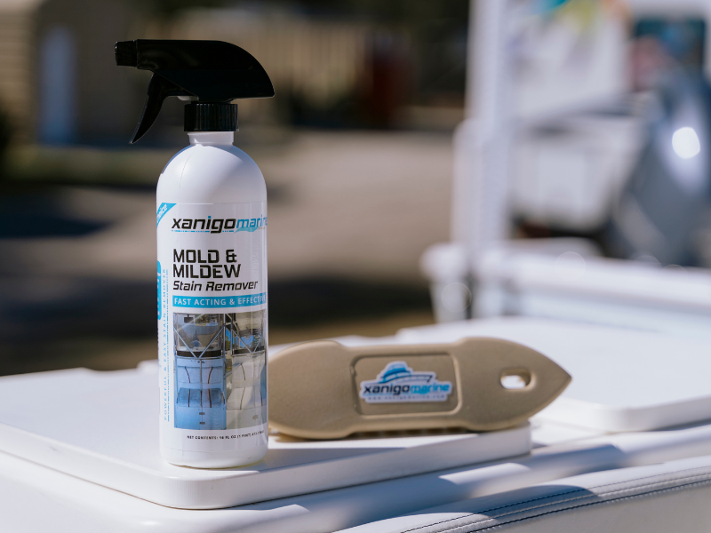 Mold & Mildew Stain Remover