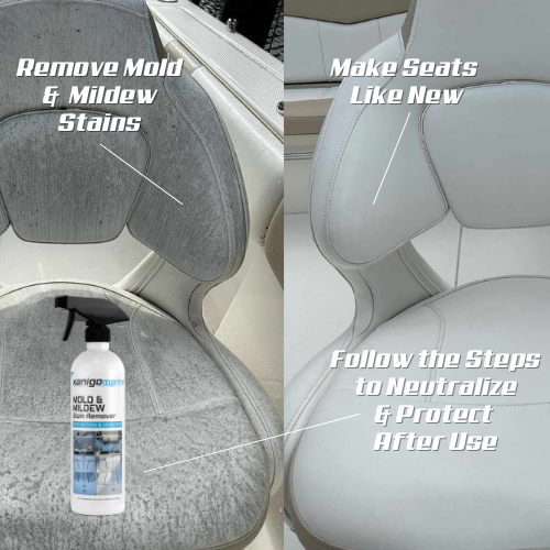 Mold Stain Removal Kit